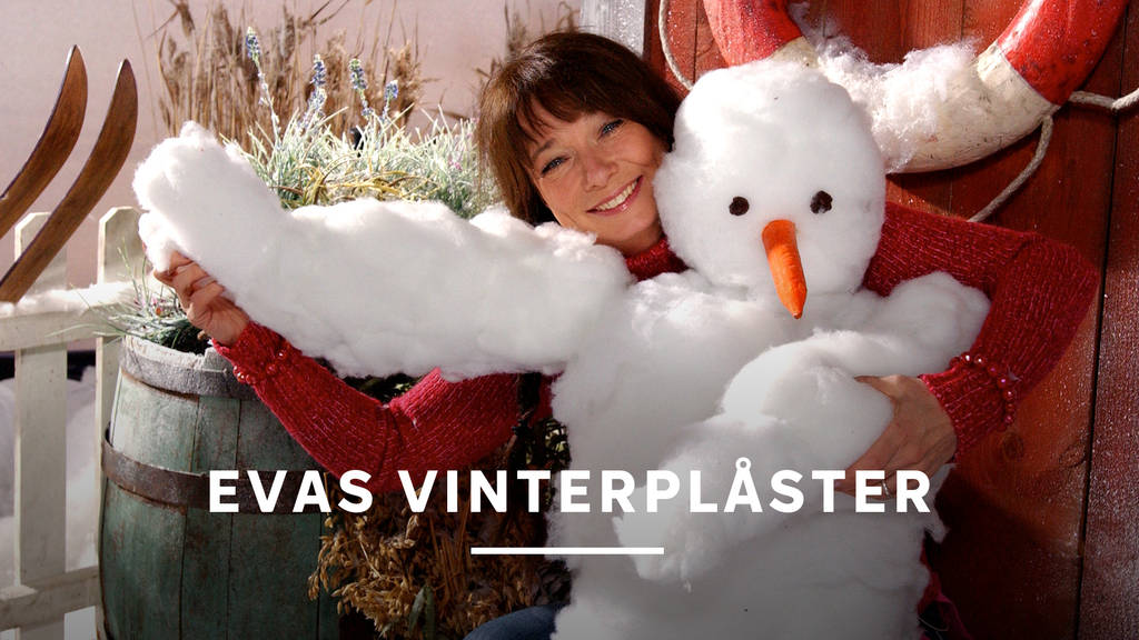 Evas vinterplåster | SVT Play