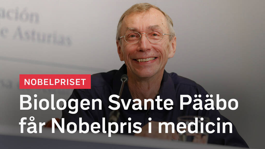 SVT Nyheter NOBELPRIS Svenska biologen Svante Pääbo får Nobelpris i