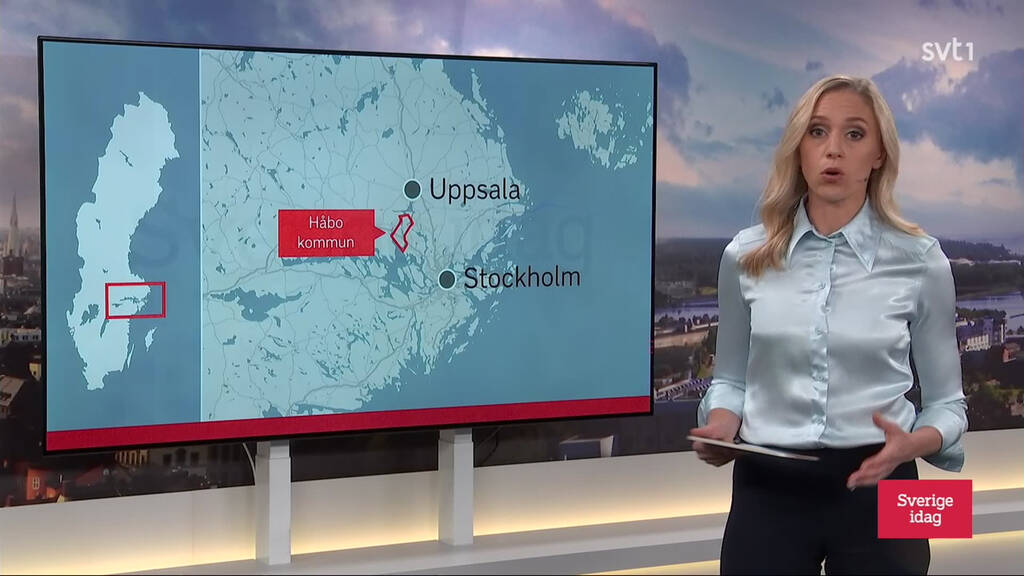 Sverige idag Avsnitt 31 SVT Play