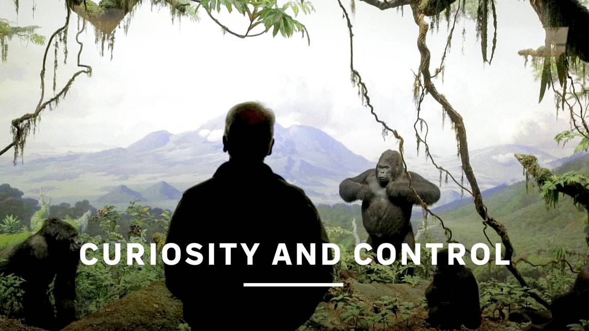 Curiosity and control | SVT Play