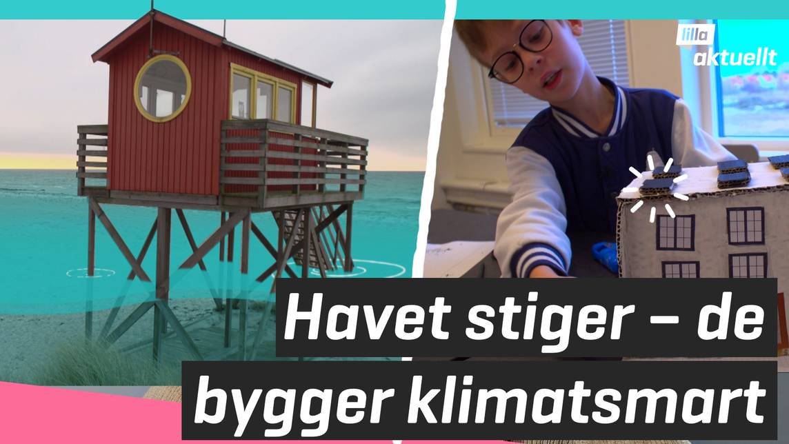 Lilla Aktuellt & Lilla Aktuellt skola – Havet stiger – de bygger ...
