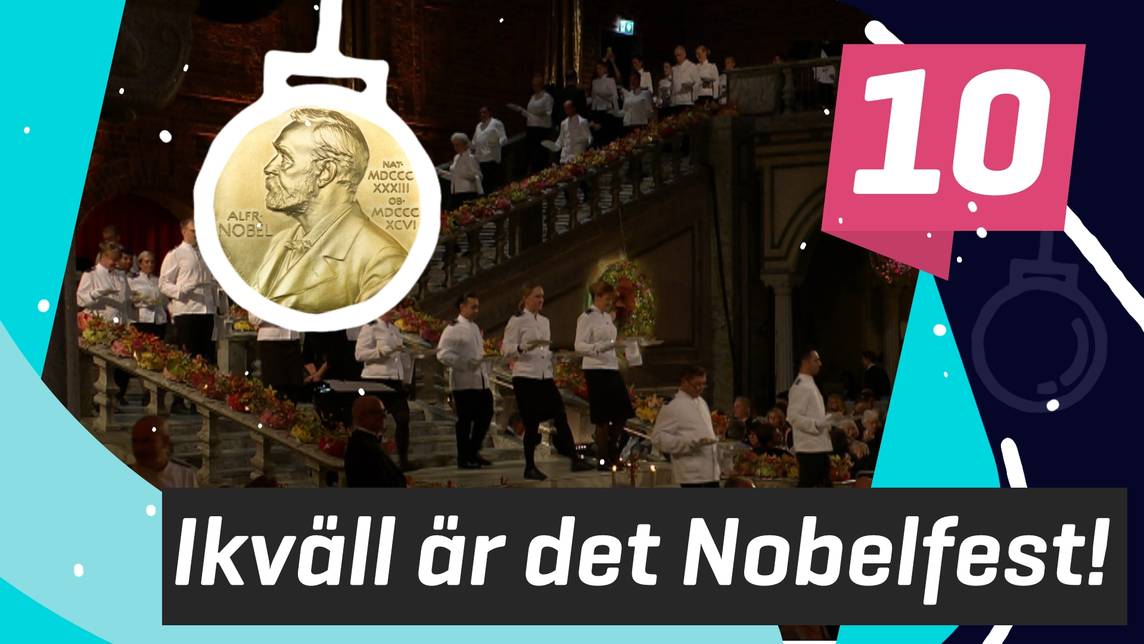 Lilla Aktuellt & Lilla Aktuellt skola – Idag är det Nobeldagen! | SVT Play