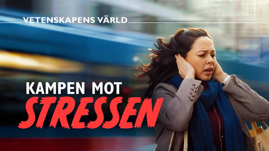Kampen mot stressen | SVT Play