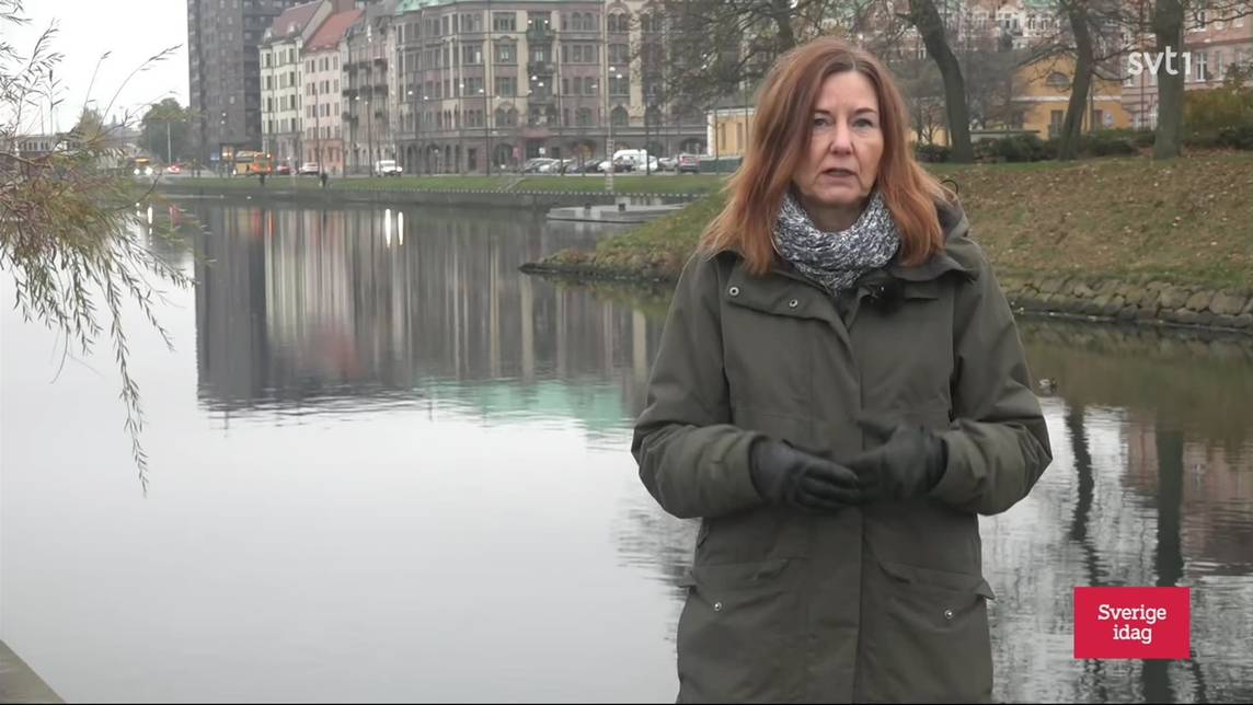 Sverige Idag Avsnitt 61 Svt Play