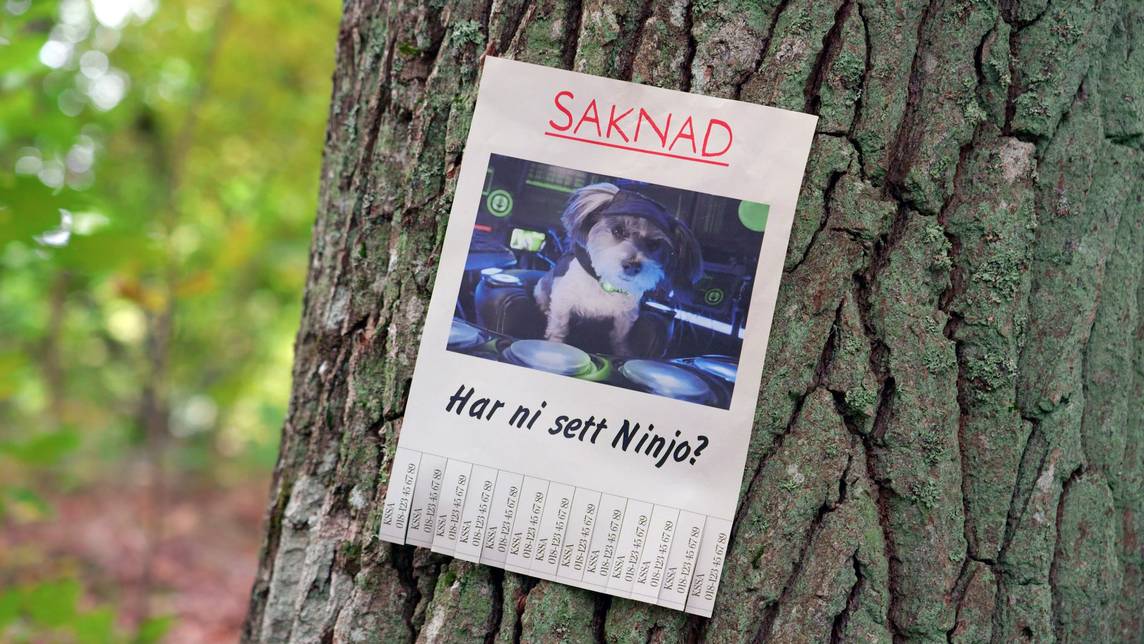 Mini-Agenterna – 11. Ninjo är kidnappad! | SVT Play