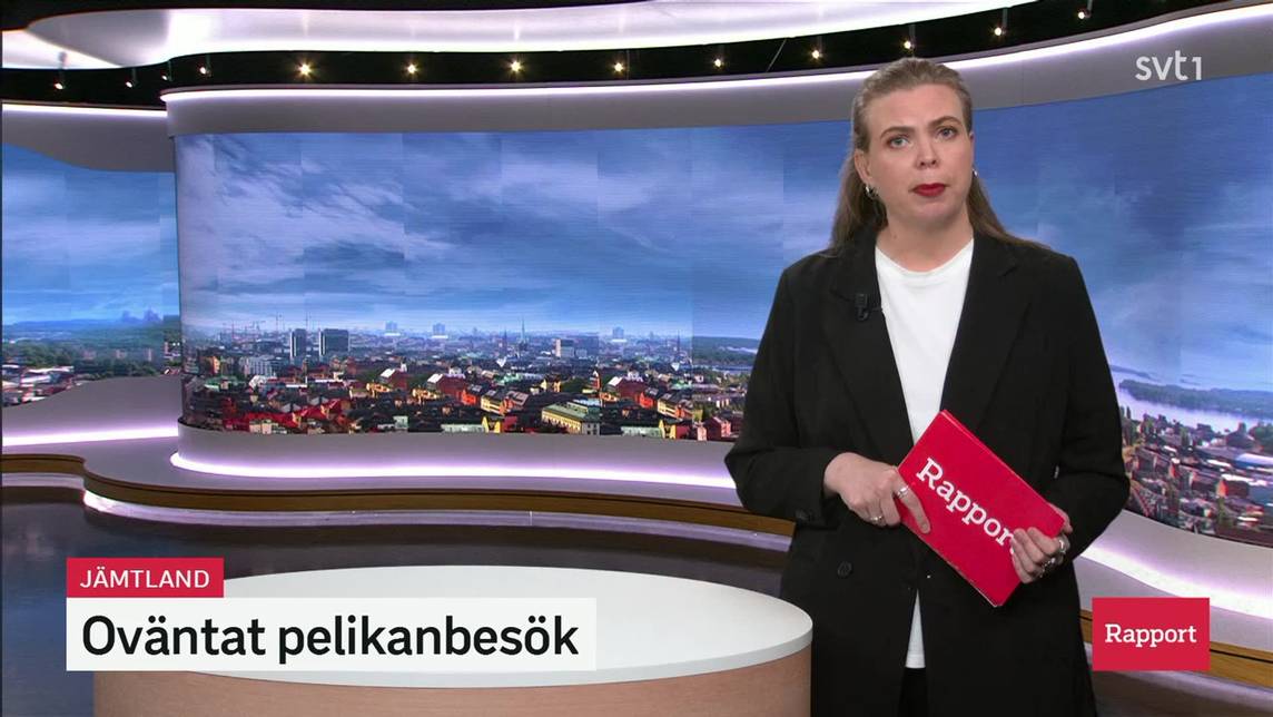 Rapport – Avsnitt 163 | SVT Play