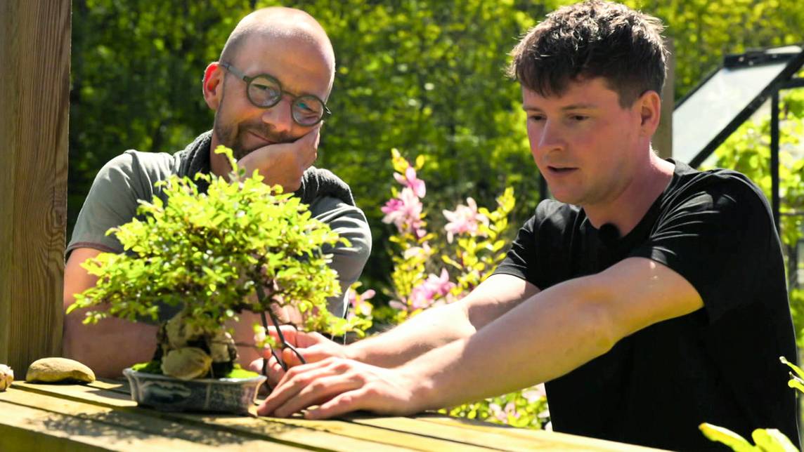 Trädgårdstips med Sören Vester – 8. Bonsai | SVT Play