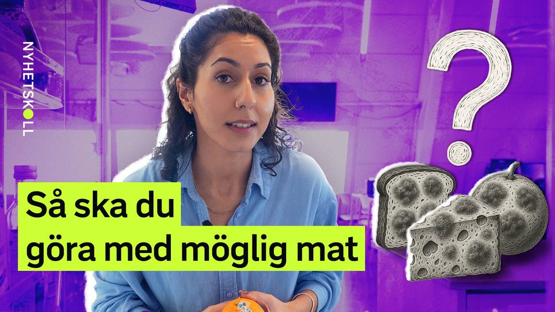 Nyhetskoll – Så ska du göra med möglig mat | SVT Play