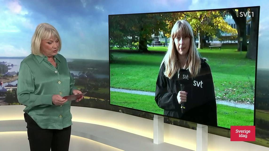 Sverige idag – Avsnitt 51 | SVT Play
