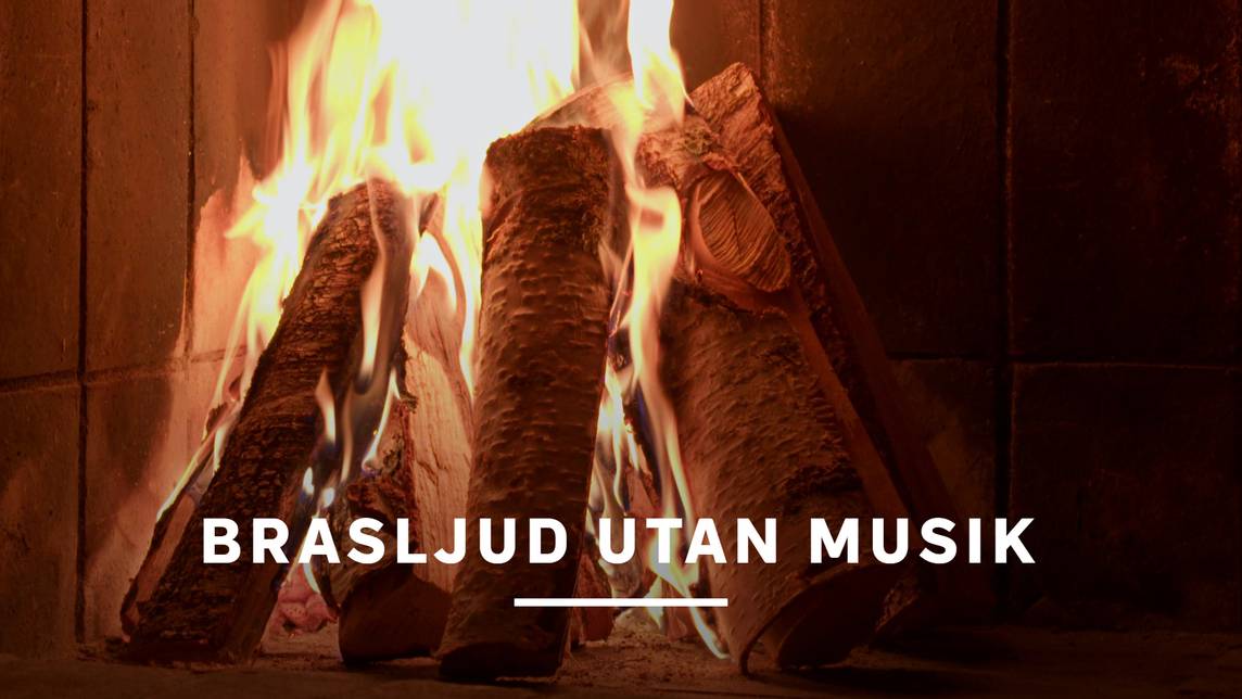 Brasa – Brasljud utan musik | SVT Play