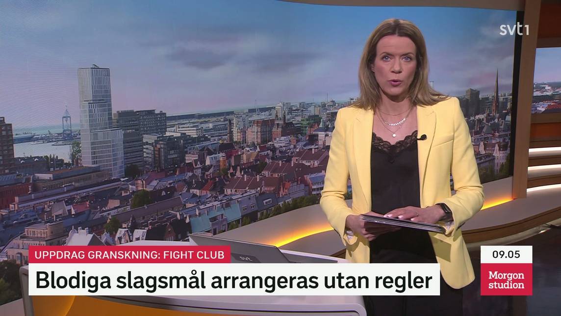 Rapport – Avsnitt 29 | SVT Play