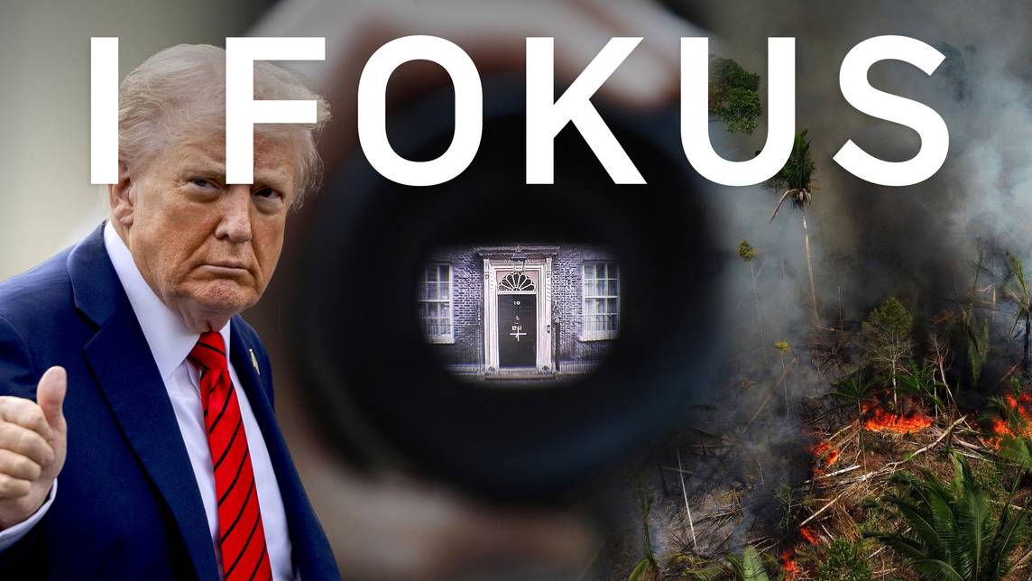I fokus