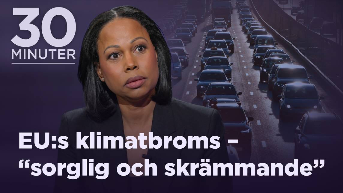 Alice Bah Kuhnke, EU-parlamentariker (MP)