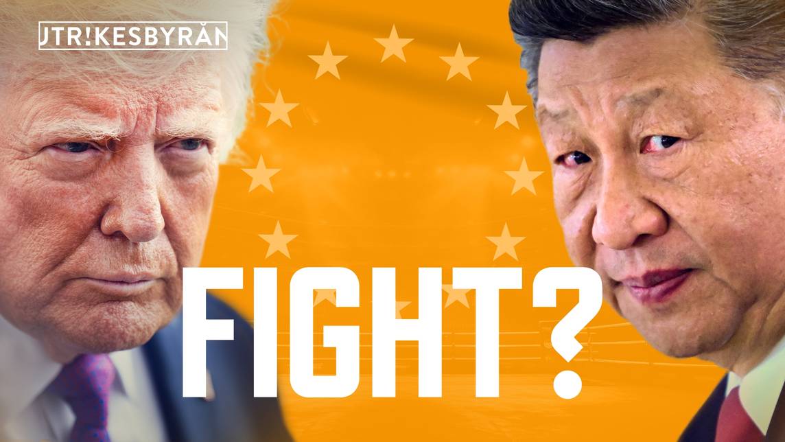 Fight?