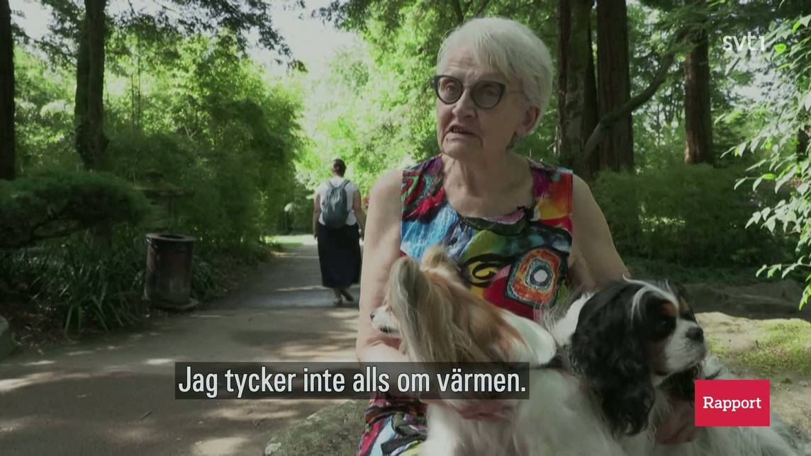 Lör 23 maj 2026 19:30
