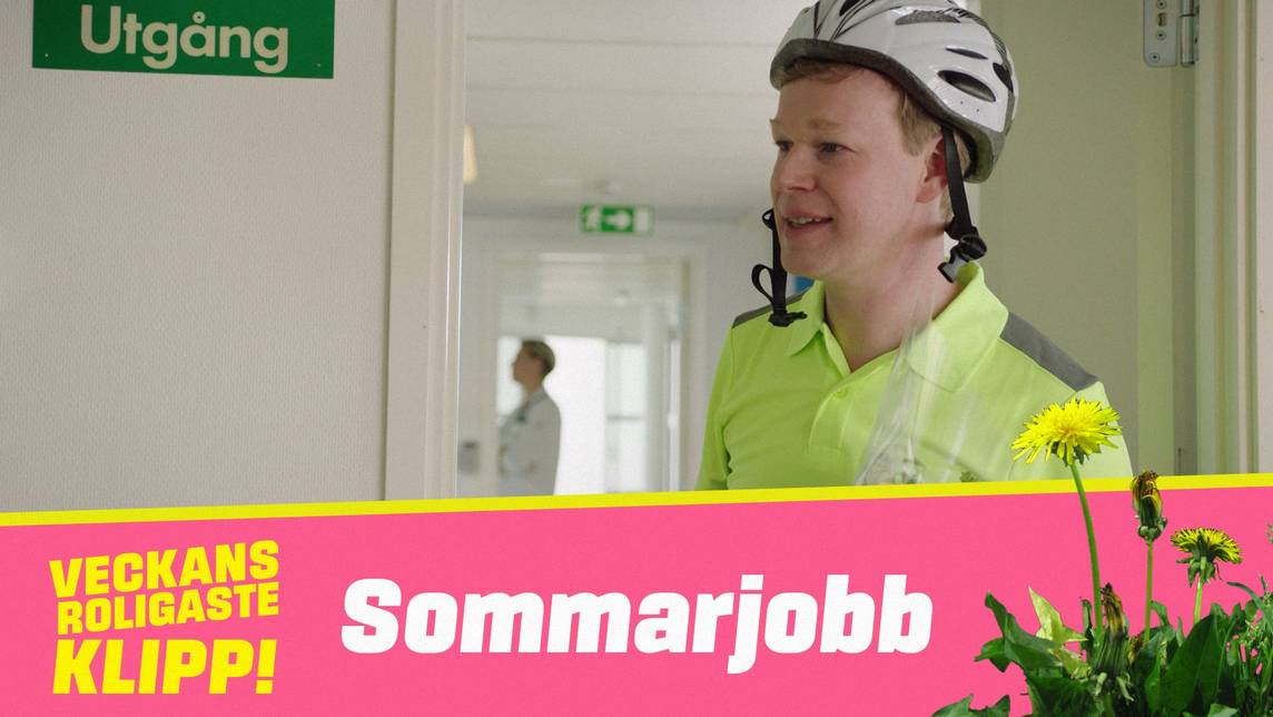 Veckans roligaste klipp – Sommarjobb