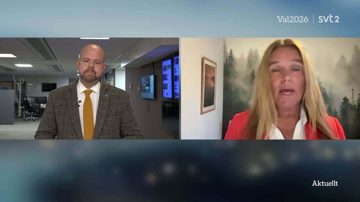 SVT In-Depth News: Gang Criminality, Politics & Current Affairs