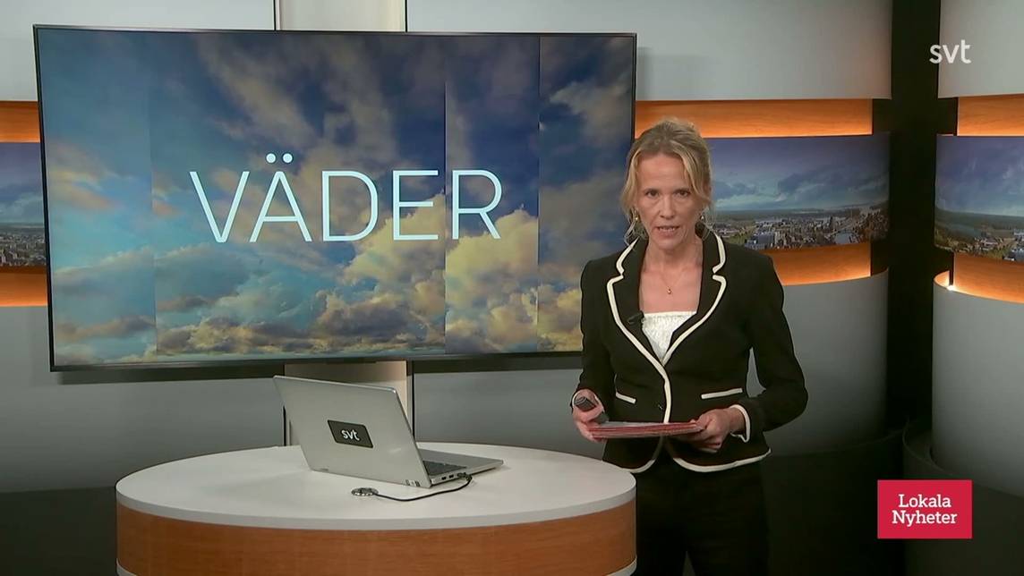 www.svtplay.se