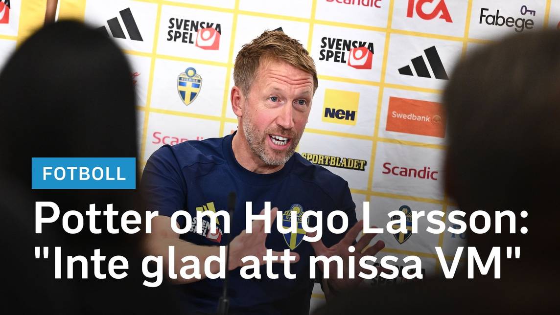 Graham Potter Discusses Call-Up of Hugo Larsson