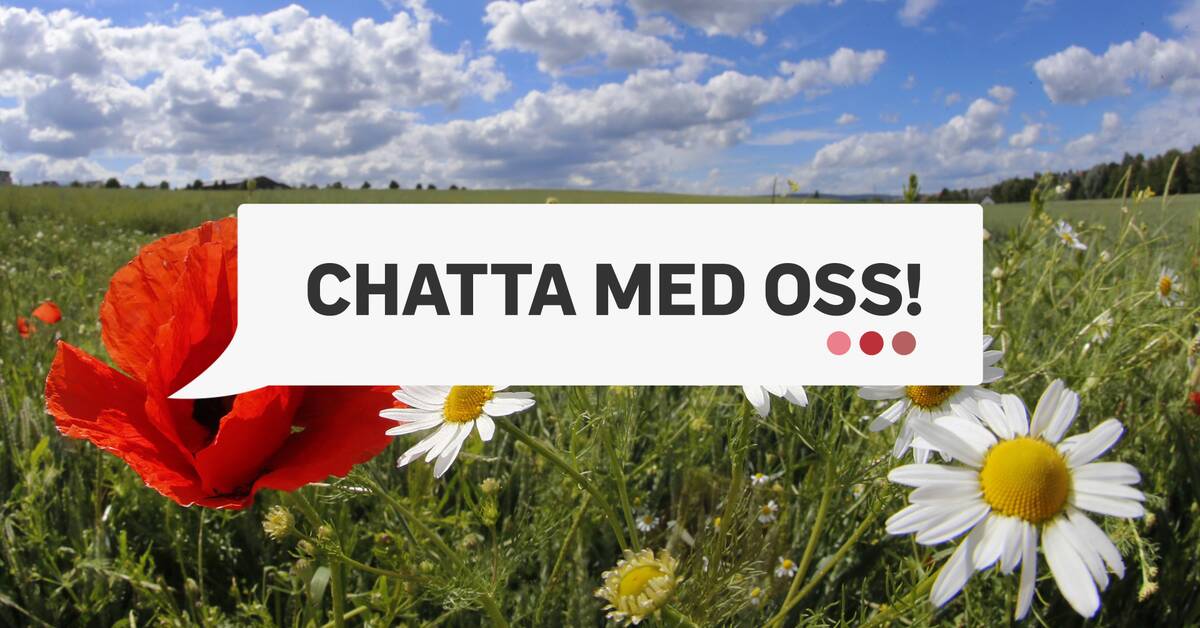 Ett besökarinlägg i "Hur blir sommaren för dig?" SVT Nyheter