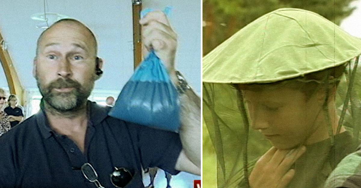 Three mosquito invasions in Sweden the atmosphere was hateful