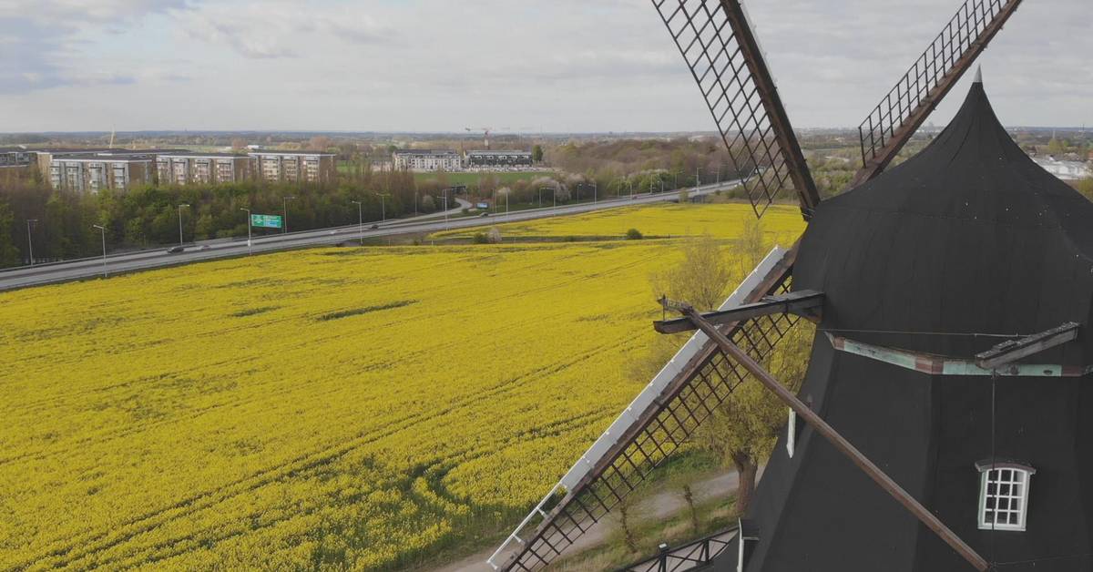 Rekordmycket raps i Skåne nästa år | SVT Nyheter