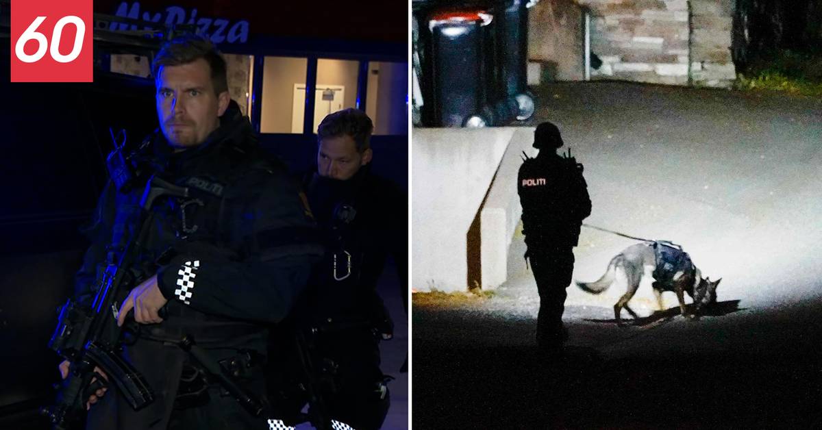 Dette vet vi om armbrøstangrepet i Norge