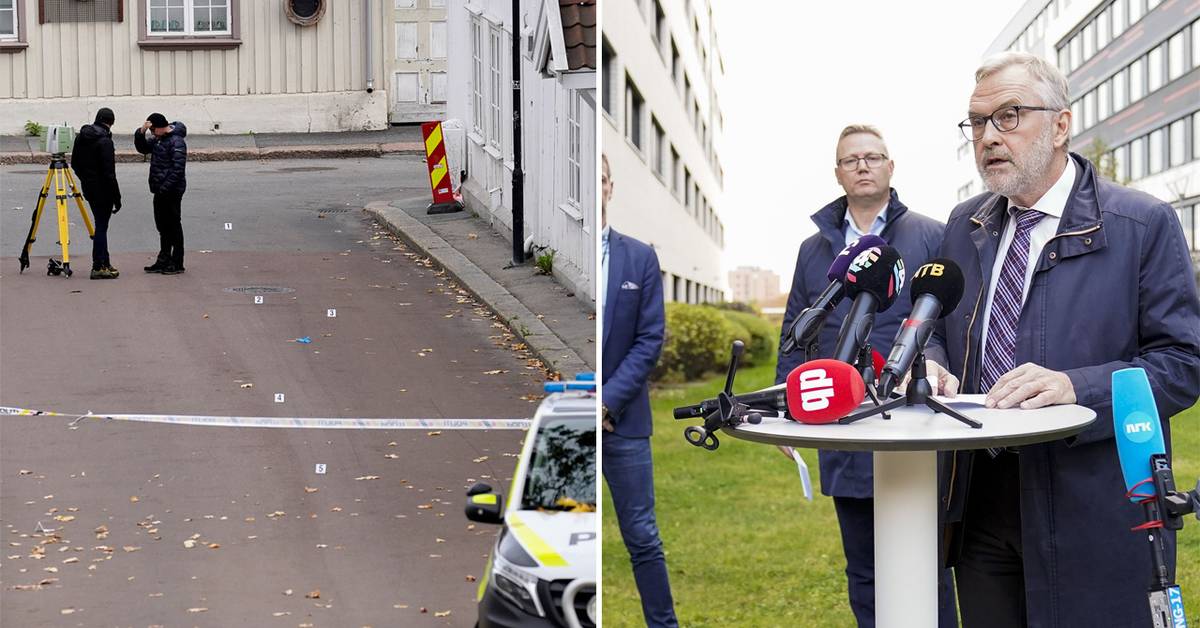 Fem døde etter bueangrep i Norge