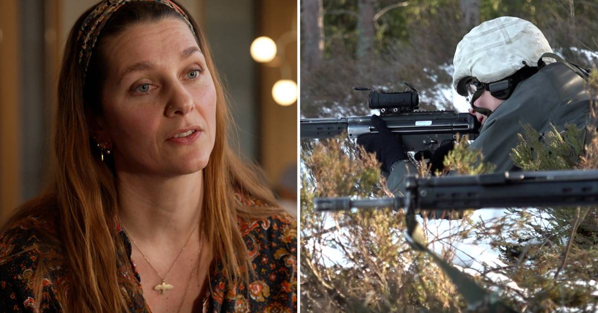 Svenske myndigheter foreslår på nytt totalforsvarsplaner