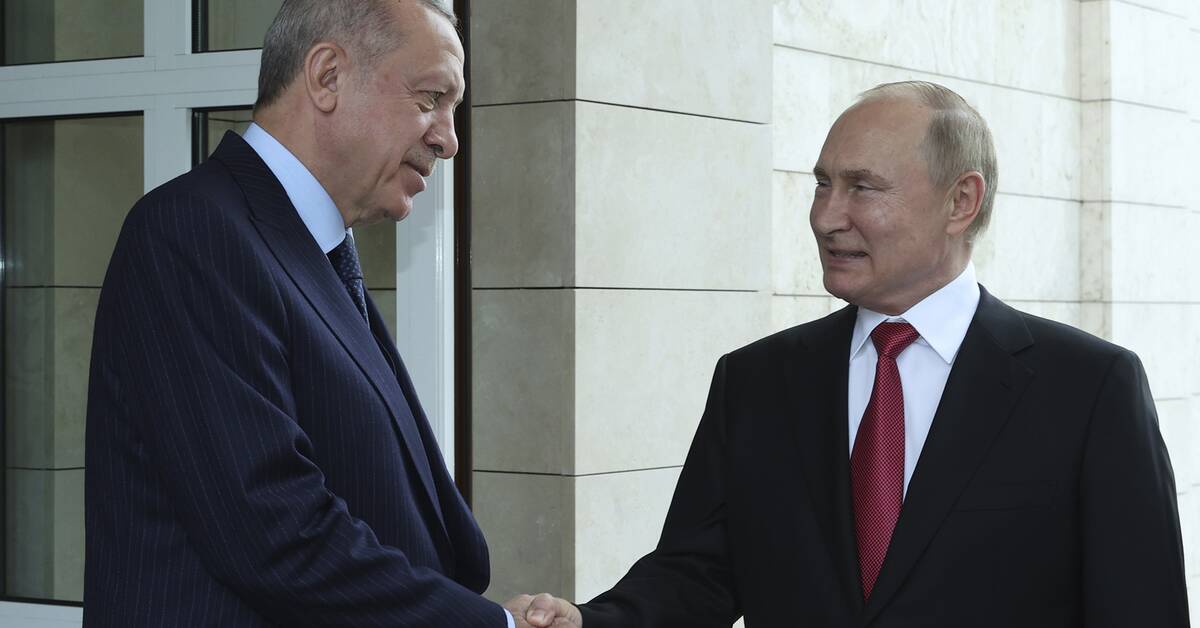 Turkey: Here are Putin’s demands for peace