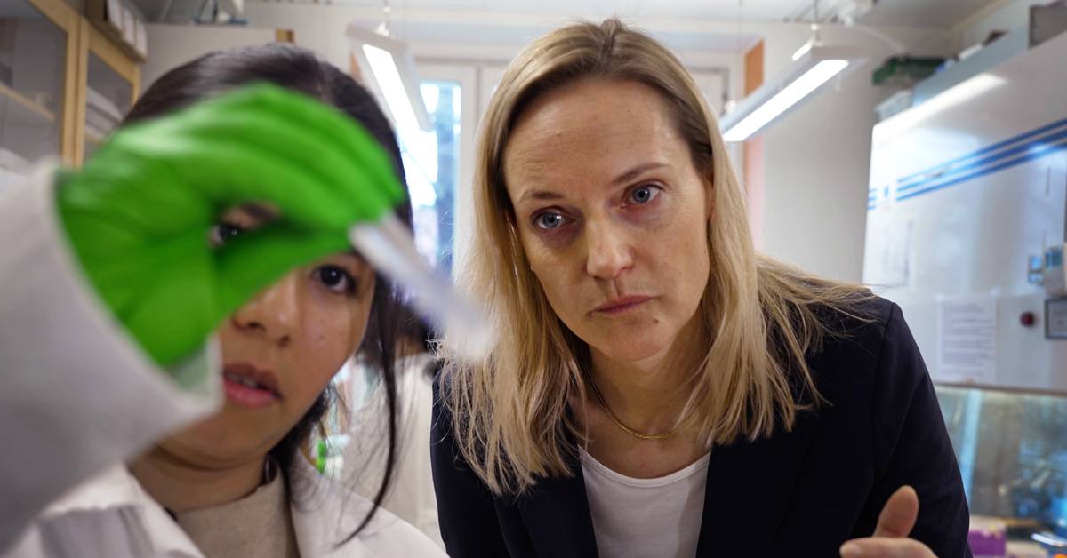 Ny studie: 12 typer plast i folks lunger