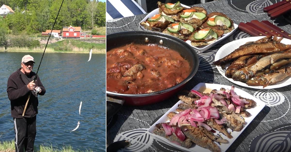 High season for herring fishing in Västervik's Verkebäcksviken Teller
