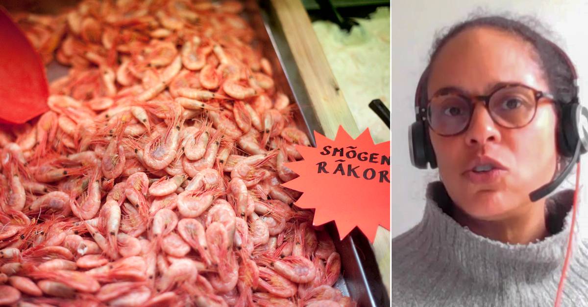 Vilka Räkor Ska Man Köpa