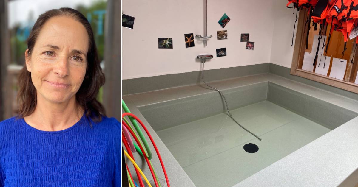 Preschools and schools are kept closed in Oxelösund and central Nyköping Teller Report