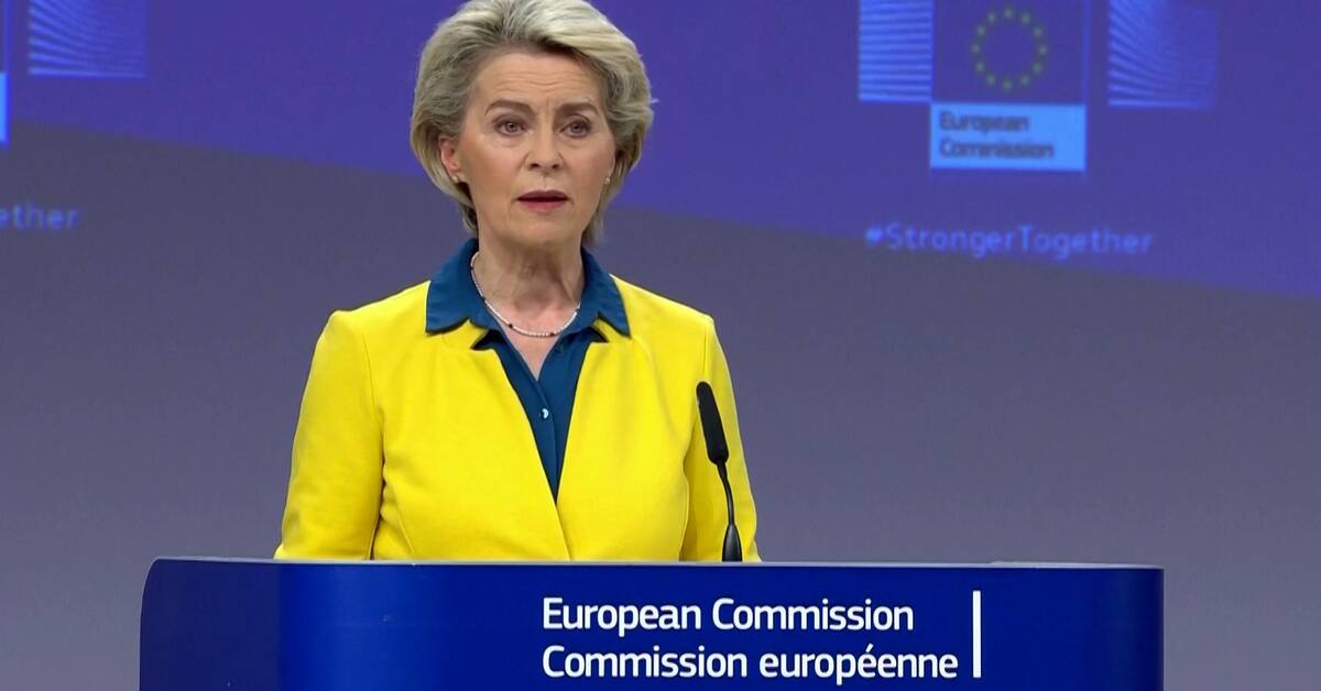 European Commission proposes candidate status for Ukraine