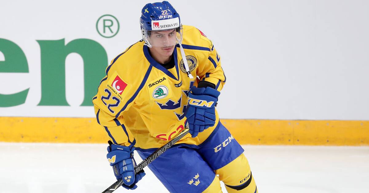 André Petersson returns to HV71 - Teller Report