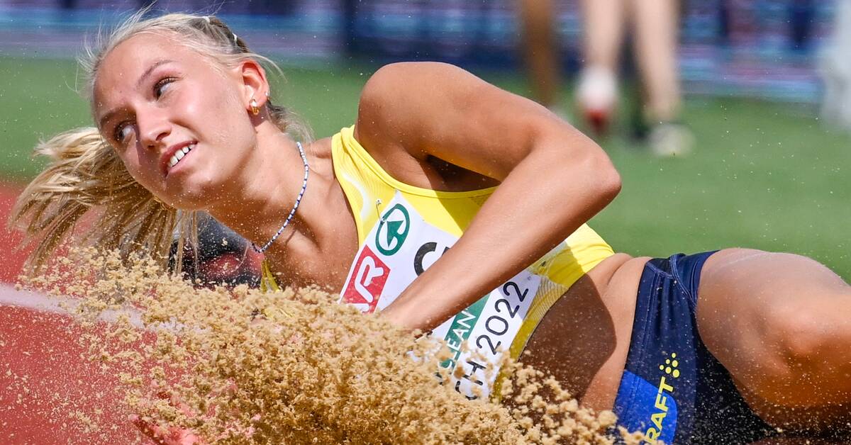 Viesu maja Кокнесе