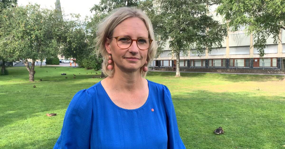 MEP Åsa Eriksson (S) om hatet og truslene hun mottok som politiker: «Jeg var redd da»