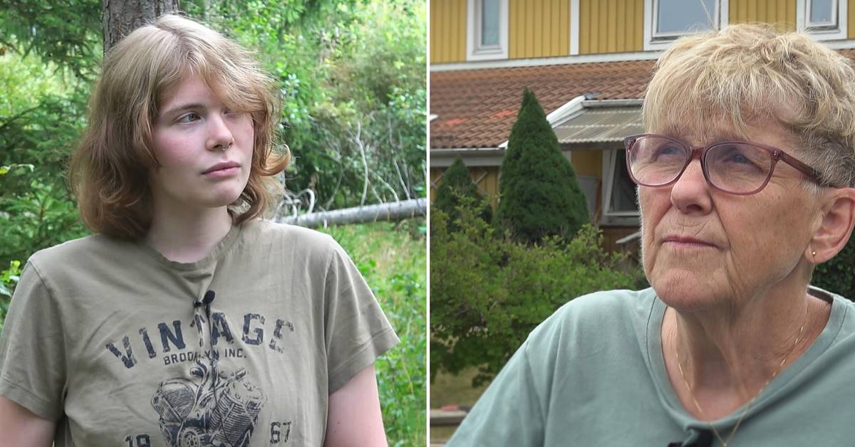 Embla skulle gå ut med hunden – möttes av en varg: ”Chockad” | SVT Nyheter