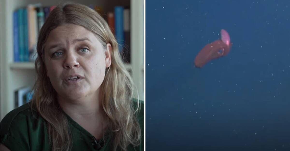 Den historiske maritime avtalen kan sluttføres i kveld Digiter