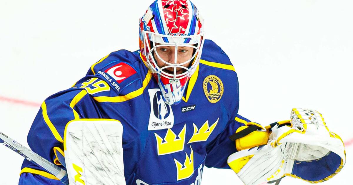 La Swedish Hockey League sospende i giocatori della KHL |  SVT Sport