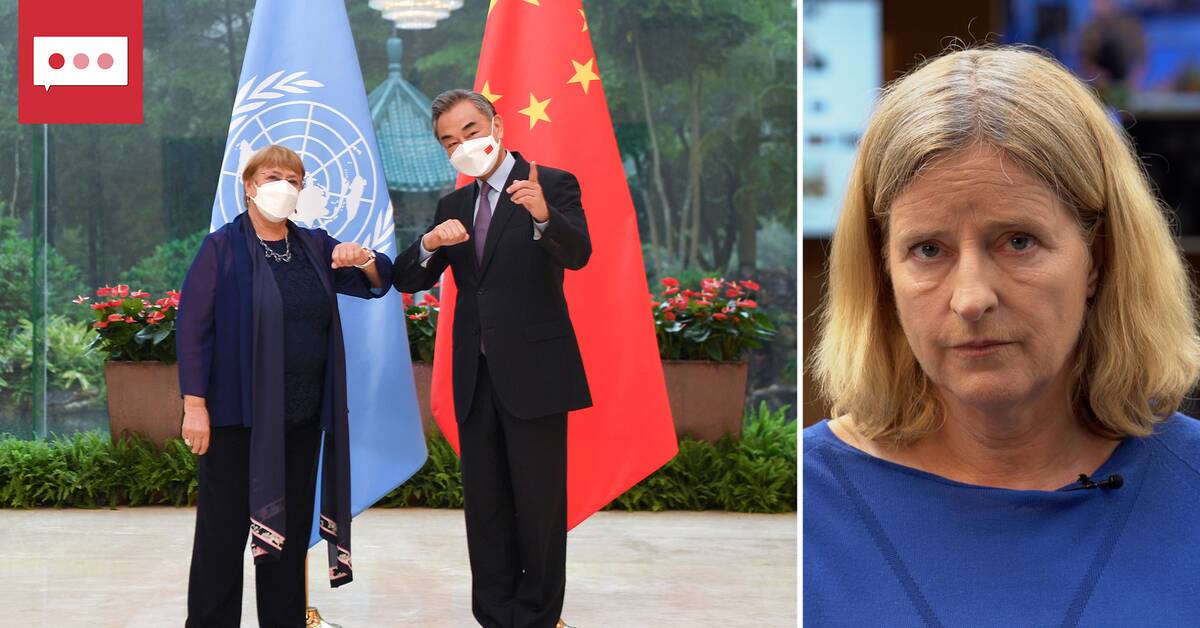 SVT reporter on China’s criticism of UN report: ‘It gets insulted quite easily’