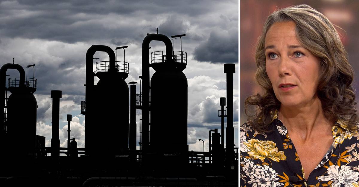 Chief Economist: “L’Europa vive uno shock energetico”