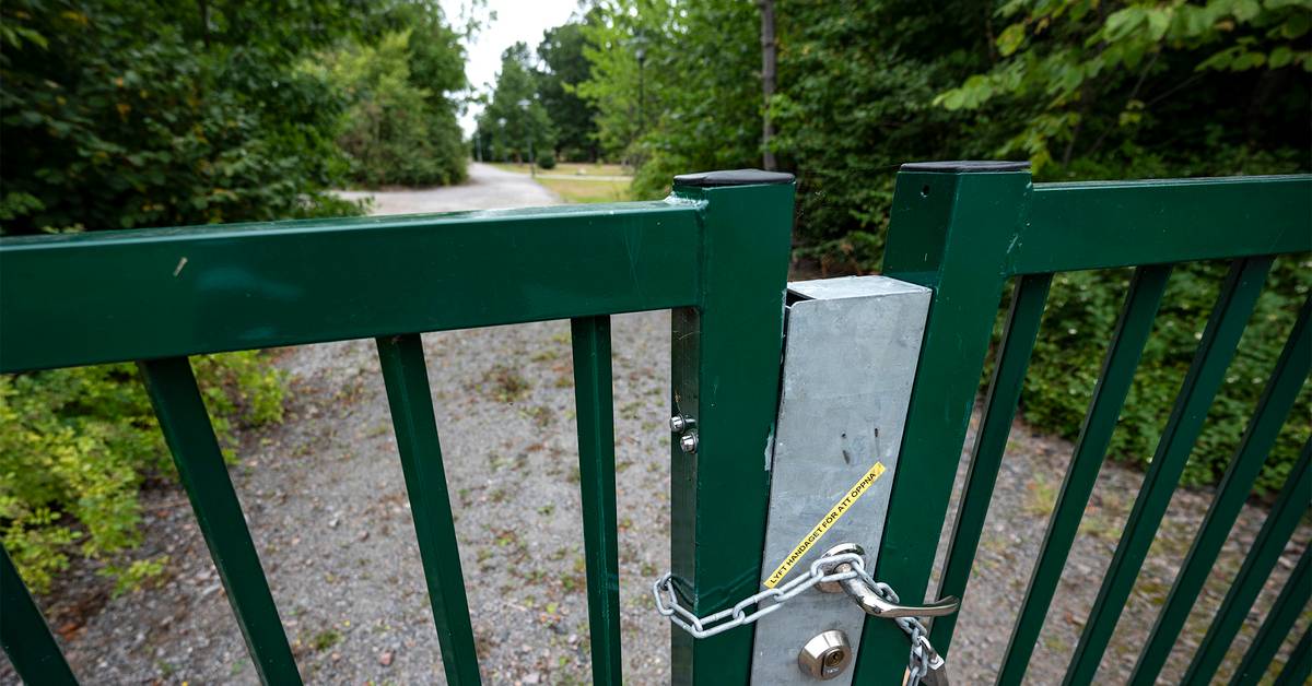 The queues for Sis homes are getting shorter Teller Report