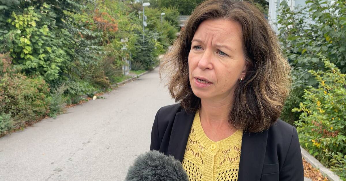 hills-in-sk-ggetorp-s-five-electoral-districts-teller-report
