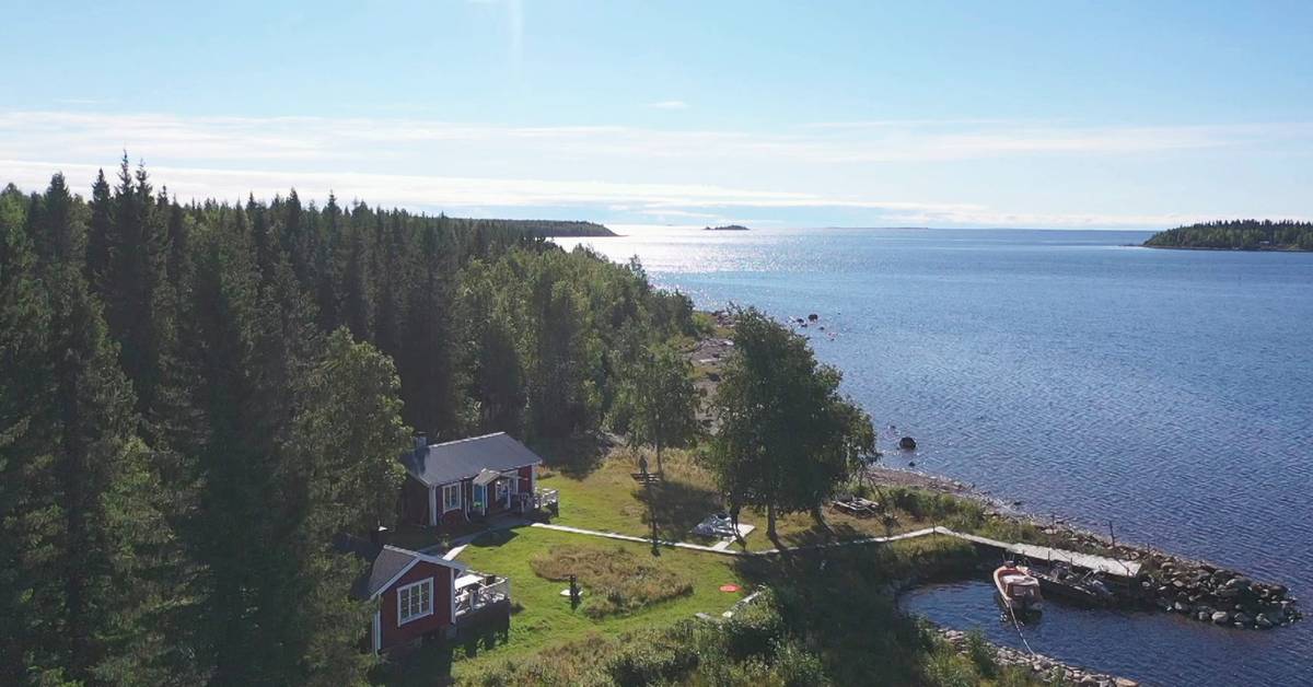 Stor avverkning planeras i Kalix skärgård: ”Om ett år är hela ön ...