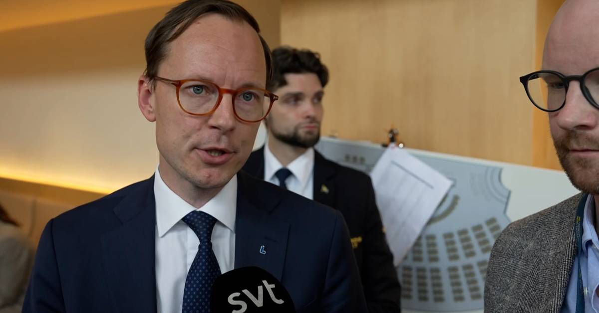 Flera ledamöter röstade mot partilinjen | SVT Nyheter