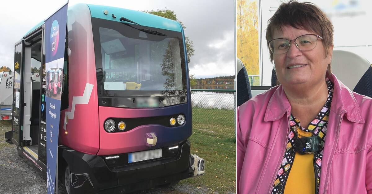 www.svt.se