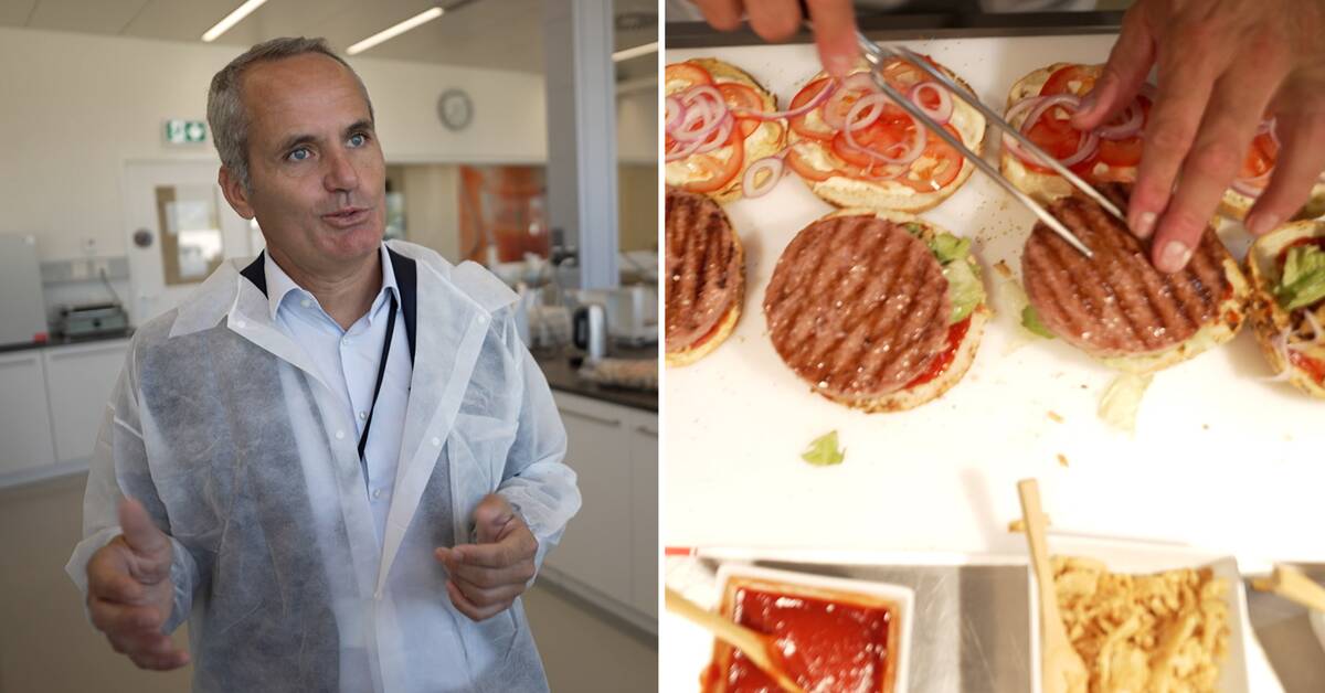 AI helps flavor vegetable meat in Switzerland Teller Report