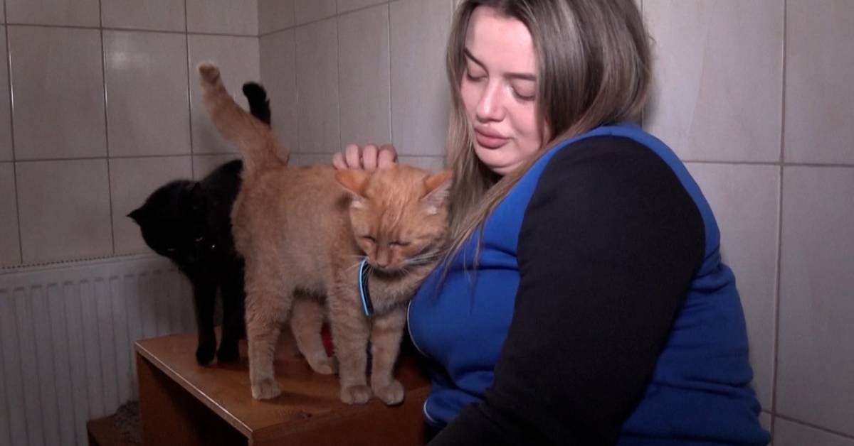 M nga Djur Herrel sa Efter Kriget I Ukraina SVT Nyheter